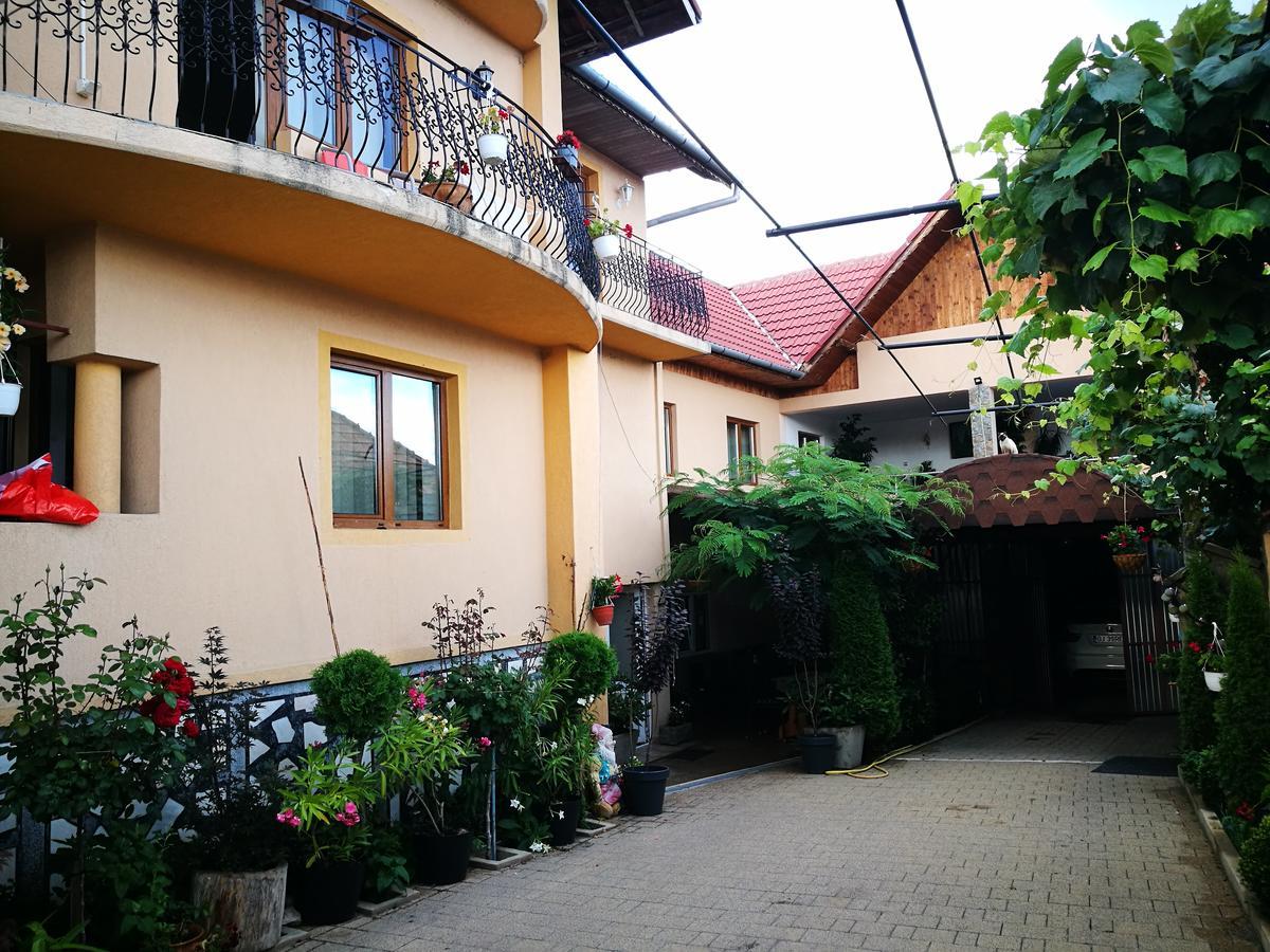 Pensiunea Remus Hotell Novaci-Străini Exteriör bild