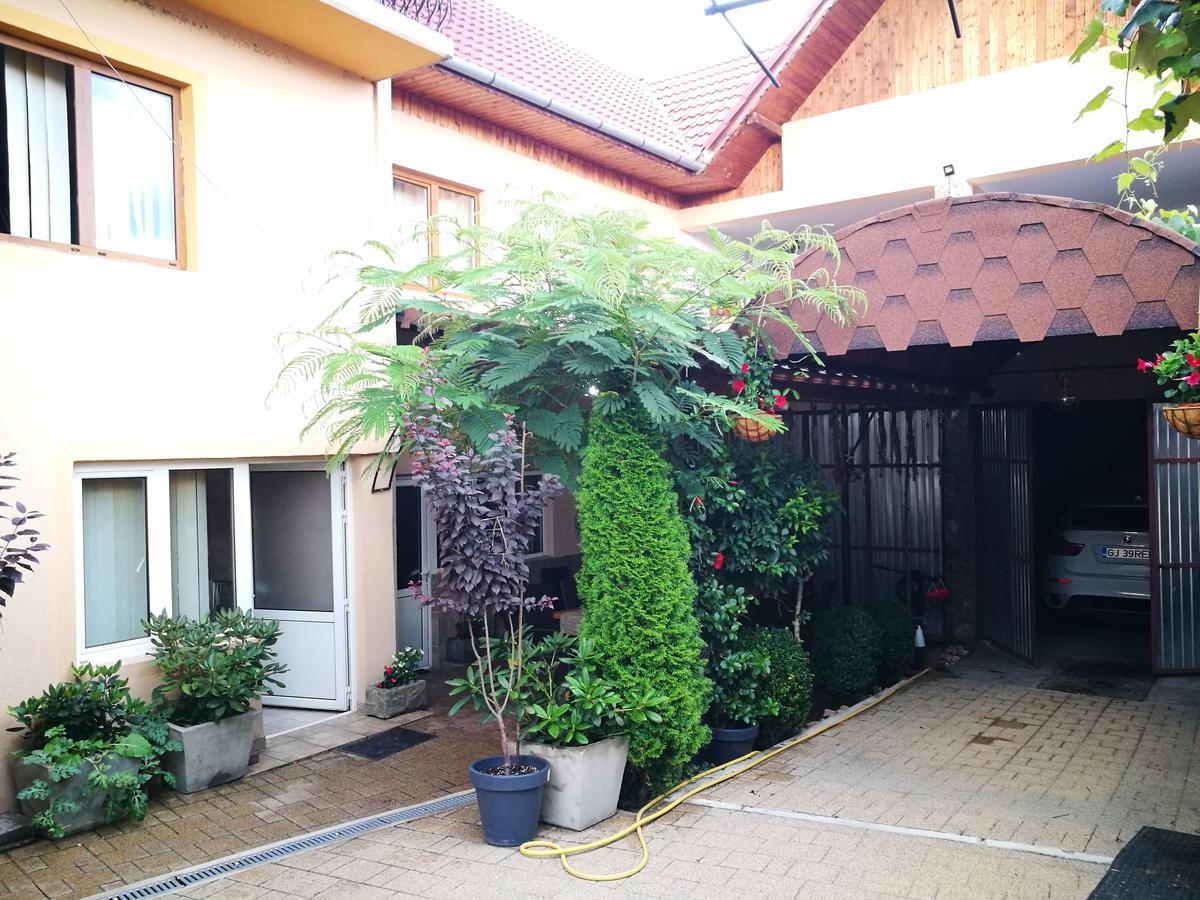 Pensiunea Remus Hotell Novaci-Străini Exteriör bild
