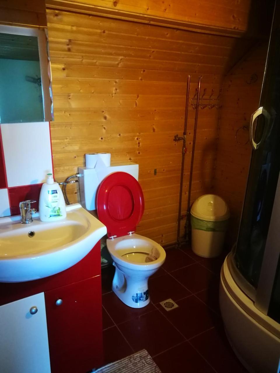 Pensiunea Remus Hotell Novaci-Străini Exteriör bild
